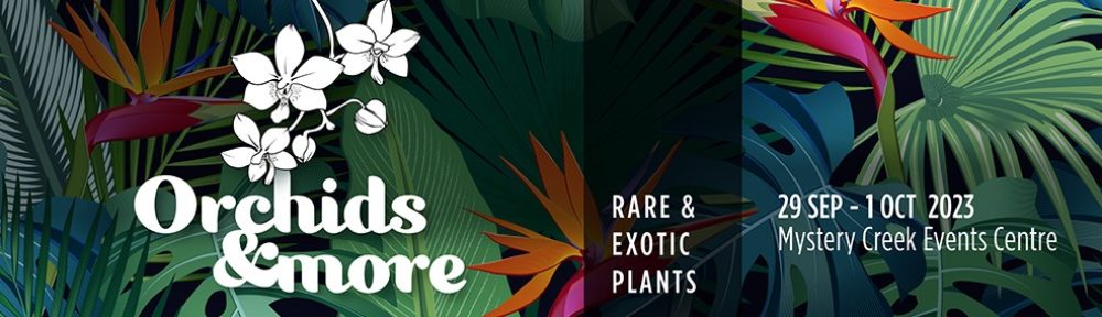 Orchids & More – Rare & Exotic Plants